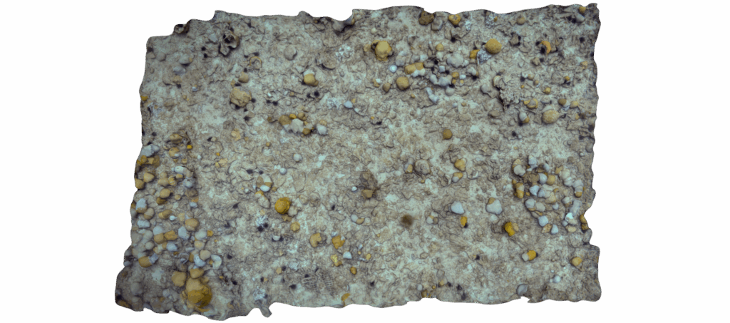 3D digital twin of Hall Bank seabed with data from Hydrus.