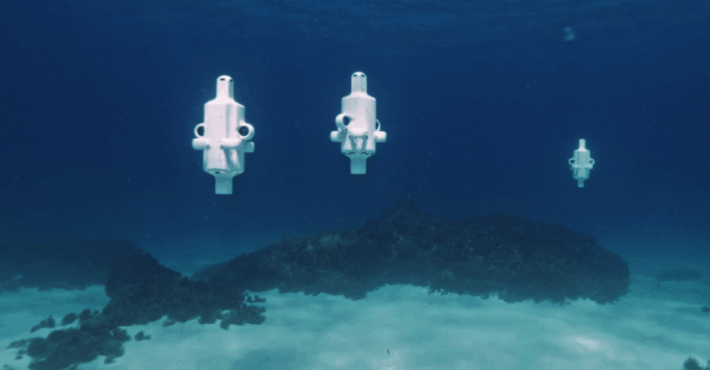 Micro hovering AUV Hydrus operating as a fleet at Hall Bank.